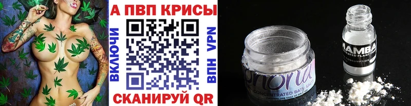 Alpha PVP СК КРИС Глазов