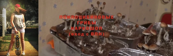дживик Алзамай