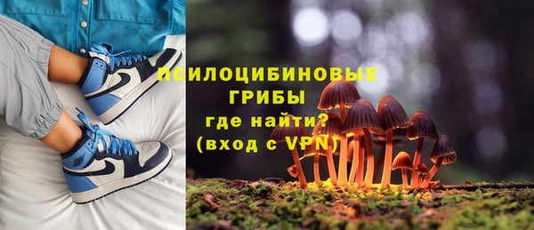 ECSTASY Алексеевка