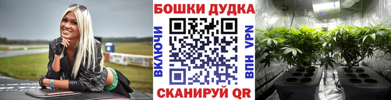 Бошки марихуана AK-47  продажа наркотиков  Глазов 